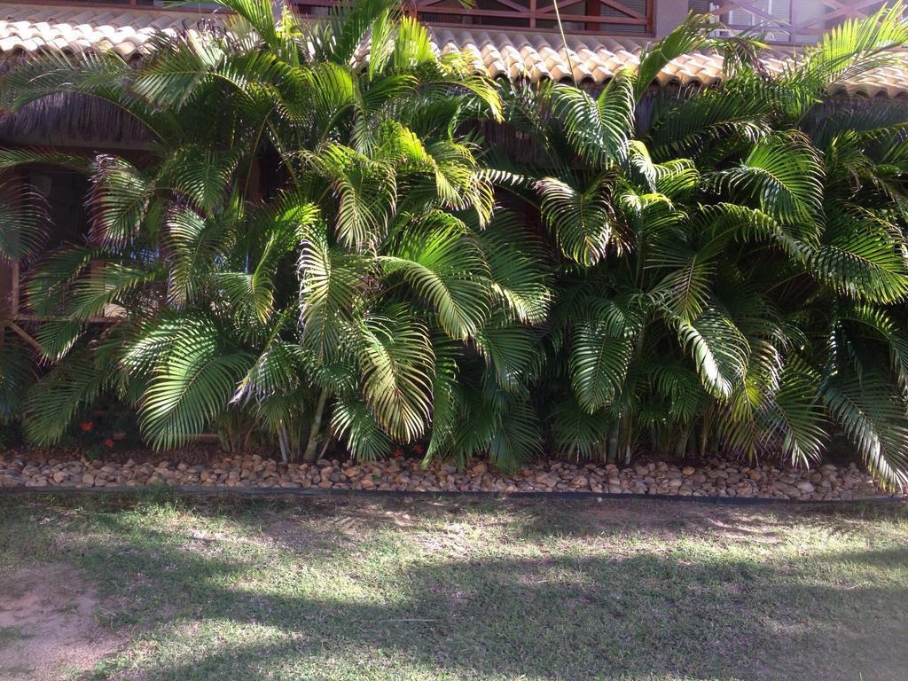 Eco Flecheiras Residence Exterior photo